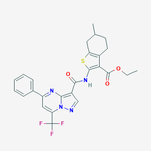molecular formula C26H23F3N4O3S B332727 Ethyl 6-methyl-2-({[5-phenyl-7-(trifluoromethyl)pyrazolo[1,5-a]pyrimidin-3-yl]carbonyl}amino)-4,5,6,7-tetrahydro-1-benzothiophene-3-carboxylate 
