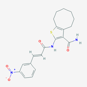 molecular formula C20H21N3O4S B332908 2-[(3-{3-Nitrophenyl}acryloyl)amino]-4,5,6,7,8,9-hexahydrocycloocta[b]thiophene-3-carboxamide 