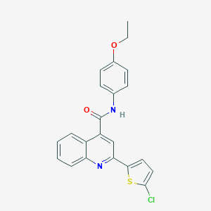 molecular formula C22H17ClN2O2S B332958 2-(5-chlorothiophen-2-yl)-N-(4-ethoxyphenyl)quinoline-4-carboxamide 