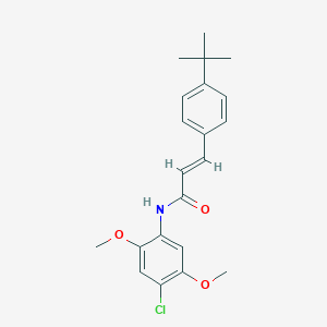 molecular formula C21H24ClNO3 B332988 3-(4-tert-butylphenyl)-N-(4-chloro-2,5-dimethoxyphenyl)acrylamide 
