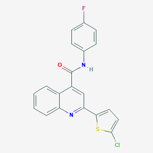 molecular formula C20H12ClFN2OS B333033 2-(5-chlorothiophen-2-yl)-N-(4-fluorophenyl)quinoline-4-carboxamide 