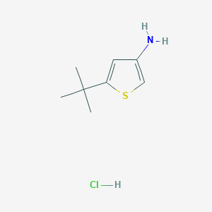 molecular formula C8H14ClNS B3330889 5-Tert-butylthiophen-3-amine;hydrochloride CAS No. 75782-77-3
