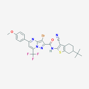 molecular formula C28H25BrF3N5O2S B333094 3-bromo-N-(6-tert-butyl-3-cyano-4,5,6,7-tetrahydro-1-benzothiophen-2-yl)-5-(4-methoxyphenyl)-7-(trifluoromethyl)pyrazolo[1,5-a]pyrimidine-2-carboxamide 