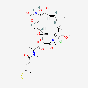 molecular formula C38H54ClN3O10S2 B3331236 DM3-Sme CAS No. 796073-70-6