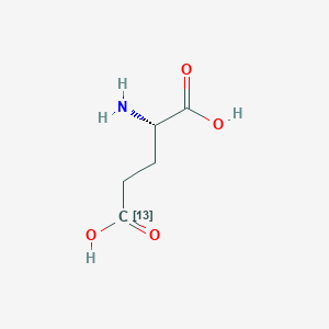 molecular formula C5H9NO4 B3331341 L-Glutamic acid-5-13C CAS No. 81202-00-8