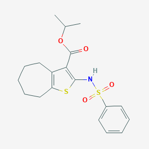 molecular formula C19H23NO4S2 B333148 isopropyl 2-[(phenylsulfonyl)amino]-5,6,7,8-tetrahydro-4H-cyclohepta[b]thiophene-3-carboxylate 