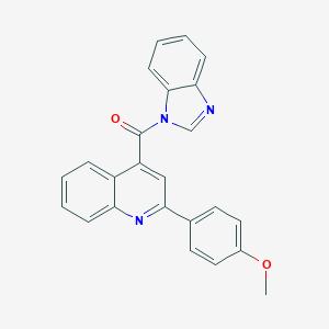 molecular formula C24H17N3O2 B333173 1-苯并咪唑基-[2-(4-甲氧基苯基)-4-喹啉基]甲苯酮 