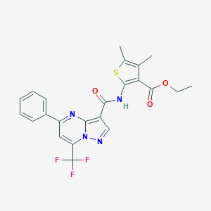 molecular formula C23H19F3N4O3S B333196 Ethyl 4,5-dimethyl-2-({[5-phenyl-7-(trifluoromethyl)pyrazolo[1,5-a]pyrimidin-3-yl]carbonyl}amino)-3-thiophenecarboxylate 