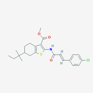 molecular formula C24H28ClNO3S B333244 Methyl 2-{[3-(4-chlorophenyl)acryloyl]amino}-6-tert-pentyl-4,5,6,7-tetrahydro-1-benzothiophene-3-carboxylate 