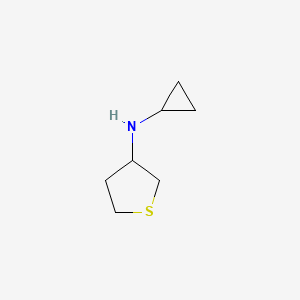 molecular formula C7H13NS B3333275 N-Cyclopropyltetrahydrothiophen-3-amine CAS No. 954253-24-8