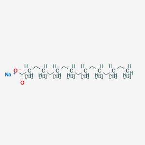 molecular formula C16H31NaO2 B3333567 Sodium palmitate-2,4,6,8,10,12,14,16-13C8 CAS No. 1173021-50-5