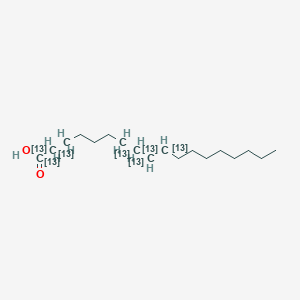 molecular formula C18H34O2 B3333605 (E)-(1,2,3,7,8,9,10-13C7)octadec-9-enoic acid CAS No. 1173097-64-7