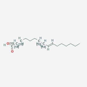 trans-9-Hexadecenoic acid-1,2,3,7,8-13C5