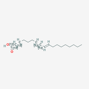 B3333681 (9E)-(1,2,3,7,8-~13~C_5_)Octadec-9-enoic acid CAS No. 1255644-48-4