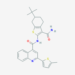 molecular formula C28H29N3O2S2 B333371 N-(6-tert-butyl-3-carbamoyl-4,5,6,7-tetrahydro-1-benzothiophen-2-yl)-2-(5-methylthiophen-2-yl)quinoline-4-carboxamide 