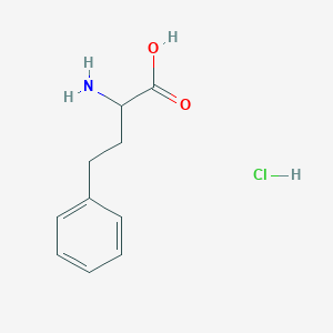 molecular formula C10H14ClNO2 B3333864 2-氨基-4-苯基丁酸盐酸盐 CAS No. 21176-60-3