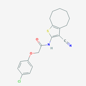 molecular formula C19H19ClN2O2S B333394 2-(4-chlorophenoxy)-N-(3-cyano-4,5,6,7,8,9-hexahydrocycloocta[b]thiophen-2-yl)acetamide 
