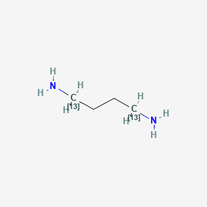 molecular formula C4H12N2 B3334017 Putrescine-1,4-13C2 CAS No. 287100-61-2