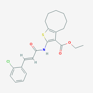 molecular formula C22H24ClNO3S B333475 Ethyl 2-{[3-(2-chlorophenyl)acryloyl]amino}-4,5,6,7,8,9-hexahydrocycloocta[b]thiophene-3-carboxylate 