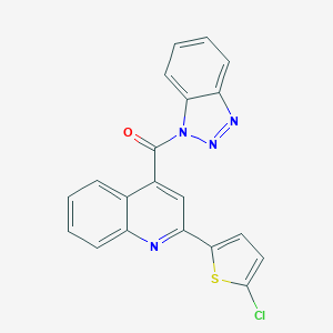 molecular formula C20H11ClN4OS B333478 1H-benzotriazol-1-yl[2-(5-chlorothiophen-2-yl)quinolin-4-yl]methanone 
