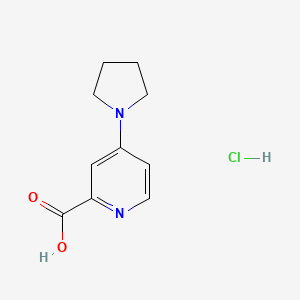 molecular formula C10H13ClN2O2 B3335323 4-吡咯烷-1-基吡啶-2-羧酸盐酸盐 CAS No. 1172705-41-7