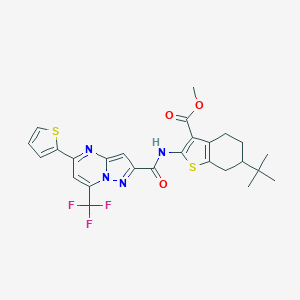 molecular formula C26H25F3N4O3S2 B333633 Methyl 6-tert-butyl-2-({[5-(2-thienyl)-7-(trifluoromethyl)pyrazolo[1,5-a]pyrimidin-2-yl]carbonyl}amino)-4,5,6,7-tetrahydro-1-benzothiophene-3-carboxylate 