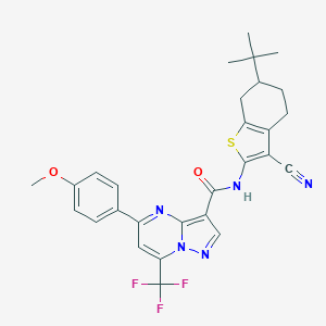 molecular formula C28H26F3N5O2S B333638 N-(6-tert-butyl-3-cyano-4,5,6,7-tetrahydro-1-benzothien-2-yl)-5-(4-methoxyphenyl)-7-(trifluoromethyl)pyrazolo[1,5-a]pyrimidine-3-carboxamide 