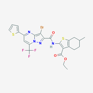 molecular formula C24H20BrF3N4O3S2 B333648 Ethyl 2-({[3-bromo-5-(2-thienyl)-7-(trifluoromethyl)pyrazolo[1,5-a]pyrimidin-2-yl]carbonyl}amino)-6-methyl-4,5,6,7-tetrahydro-1-benzothiophene-3-carboxylate 