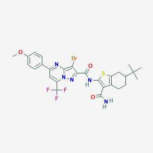 molecular formula C28H27BrF3N5O3S B333682 3-bromo-N-(6-tert-butyl-3-carbamoyl-4,5,6,7-tetrahydro-1-benzothiophen-2-yl)-5-(4-methoxyphenyl)-7-(trifluoromethyl)pyrazolo[1,5-a]pyrimidine-2-carboxamide 