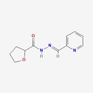 molecular formula C11H13N3O2 B3337283 Tetrahydro-2-furoic (2-pyridylmethylene)hydrazide CAS No. 60943-77-3