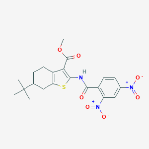 molecular formula C21H23N3O7S B333746 Methyl 2-({2,4-dinitrobenzoyl}amino)-6-tert-butyl-4,5,6,7-tetrahydro-1-benzothiophene-3-carboxylate 