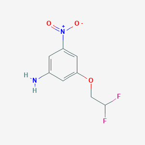 molecular formula C8H8F2N2O3 B3337931 3-(2,2-Difluoroethoxy)-5-nitroaniline CAS No. 832738-23-5