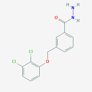 molecular formula C14H12Cl2N2O2 B3337982 3-[(2,3-Dichlorophenoxy)methyl]benzohydrazide CAS No. 832739-92-1