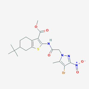 molecular formula C20H25BrN4O5S B333844 methyl 2-[({4-bromo-3-nitro-5-methyl-1H-pyrazol-1-yl}acetyl)amino]-6-tert-butyl-4,5,6,7-tetrahydro-1-benzothiophene-3-carboxylate 