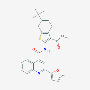 molecular formula C29H30N2O4S B333898 Methyl 6-tert-butyl-2-({[2-(5-methyl-2-furyl)-4-quinolinyl]carbonyl}amino)-4,5,6,7-tetrahydro-1-benzothiophene-3-carboxylate 