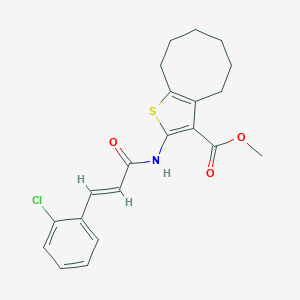molecular formula C21H22ClNO3S B333958 Methyl 2-{[3-(2-chlorophenyl)acryloyl]amino}-4,5,6,7,8,9-hexahydrocycloocta[b]thiophene-3-carboxylate 