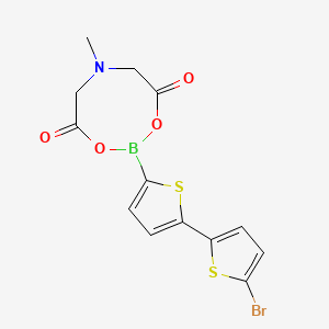 molecular formula C13H11BBrNO4S2 B3339633 2-(5'-Bromo-[2,2'-bithiophen]-5-yl)-6-methyl-1,3,6,2-dioxazaborocane-4,8-dione CAS No. 1104636-79-4