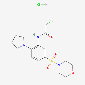 molecular formula C16H23Cl2N3O4S B3339708 2-chloro-N-[5-(morpholin-4-ylsulfonyl)-2-pyrrolidin-1-ylphenyl]acetamide hydrochloride CAS No. 1171052-28-0