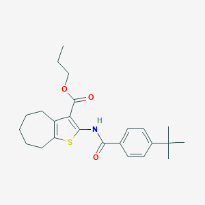 molecular formula C24H31NO3S B333992 propyl 2-[(4-tert-butylbenzoyl)amino]-5,6,7,8-tetrahydro-4H-cyclohepta[b]thiophene-3-carboxylate 