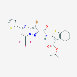 molecular formula C24H20BrF3N4O3S2 B334123 Isopropyl 2-({[3-bromo-5-(2-thienyl)-7-(trifluoromethyl)pyrazolo[1,5-a]pyrimidin-2-yl]carbonyl}amino)-4,5,6,7-tetrahydro-1-benzothiophene-3-carboxylate 