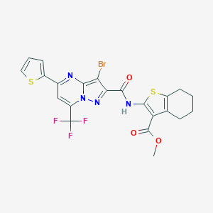 molecular formula C22H16BrF3N4O3S2 B334131 Methyl 2-({[3-bromo-5-(2-thienyl)-7-(trifluoromethyl)pyrazolo[1,5-a]pyrimidin-2-yl]carbonyl}amino)-4,5,6,7-tetrahydro-1-benzothiophene-3-carboxylate 