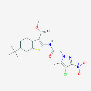 methyl 6-tert-butyl-2-[({4-chloro-3-nitro-5-methyl-1H-pyrazol-1-yl}acetyl)amino]-4,5,6,7-tetrahydro-1-benzothiophene-3-carboxylate