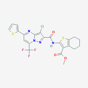 molecular formula C22H16ClF3N4O3S2 B334142 Methyl 2-({[3-chloro-5-(thiophen-2-yl)-7-(trifluoromethyl)pyrazolo[1,5-a]pyrimidin-2-yl]carbonyl}amino)-4,5,6,7-tetrahydro-1-benzothiophene-3-carboxylate 