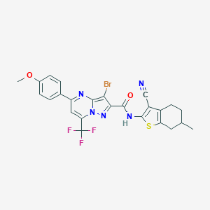 molecular formula C25H19BrF3N5O2S B334148 3-bromo-N-(3-cyano-6-methyl-4,5,6,7-tetrahydro-1-benzothien-2-yl)-5-(4-methoxyphenyl)-7-(trifluoromethyl)pyrazolo[1,5-a]pyrimidine-2-carboxamide 