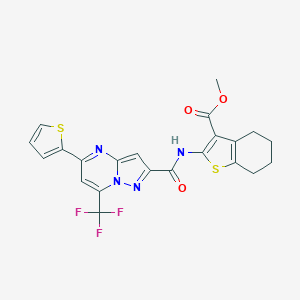 molecular formula C22H17F3N4O3S2 B334157 Methyl 2-({[5-(2-thienyl)-7-(trifluoromethyl)pyrazolo[1,5-a]pyrimidin-2-yl]carbonyl}amino)-4,5,6,7-tetrahydro-1-benzothiophene-3-carboxylate 