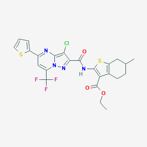 molecular formula C24H20ClF3N4O3S2 B334168 Ethyl 2-({[3-chloro-5-(2-thienyl)-7-(trifluoromethyl)pyrazolo[1,5-a]pyrimidin-2-yl]carbonyl}amino)-6-methyl-4,5,6,7-tetrahydro-1-benzothiophene-3-carboxylate 