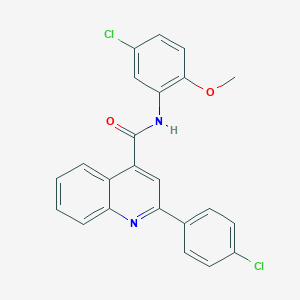 molecular formula C23H16Cl2N2O2 B334219 N-(5-chloro-2-methoxyphenyl)-2-(4-chlorophenyl)quinoline-4-carboxamide 