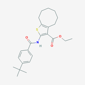 molecular formula C24H31NO3S B334232 Ethyl 2-[(4-tert-butylbenzoyl)amino]-4,5,6,7,8,9-hexahydrocycloocta[b]thiophene-3-carboxylate 