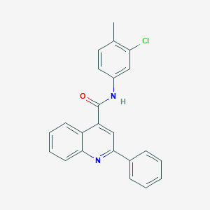 molecular formula C23H17ClN2O B334247 N-(3-chloro-4-methylphenyl)-2-phenylquinoline-4-carboxamide 