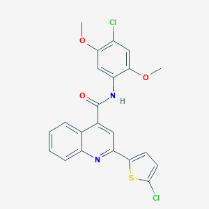 molecular formula C22H16Cl2N2O3S B334313 N-(4-chloro-2,5-dimethoxyphenyl)-2-(5-chlorothiophen-2-yl)quinoline-4-carboxamide 